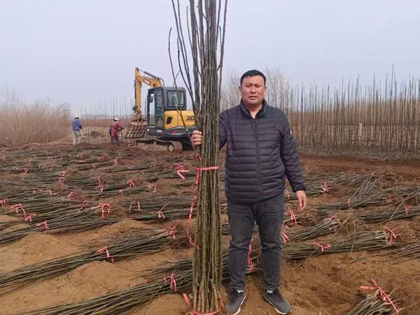 装车发货